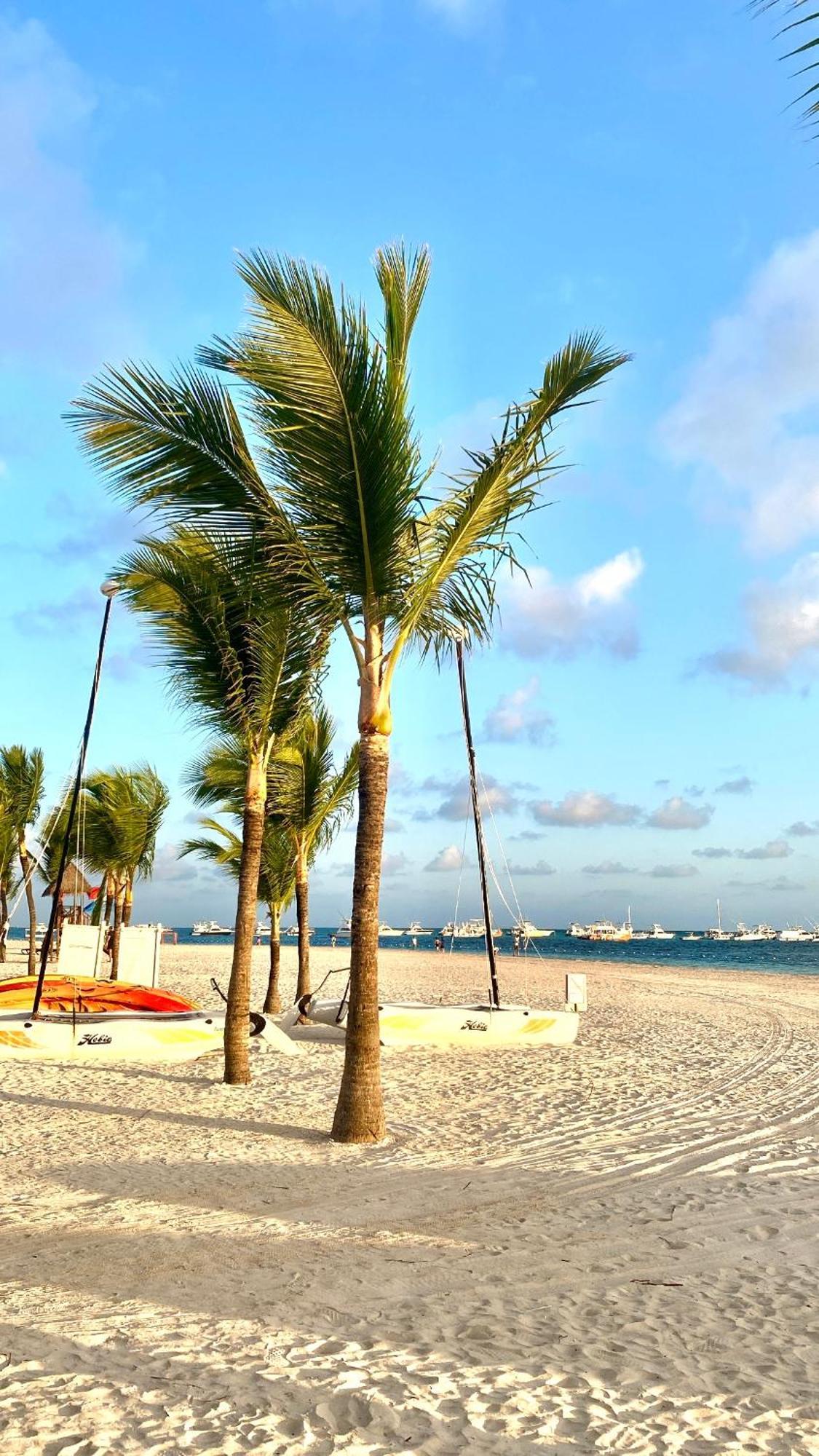 Paradise Close To The Beach Pool Free Parking,Wifi- Punta Cana Kültér fotó